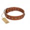 "Dogue-Vogue" FDT Artisan Tan Leather American Bulldog Collar with Engraved Chrome-plated Studs