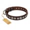 "Step and Sparkle" FDT Artisan Glamorous Studded Brown Leather American Bulldog Collar