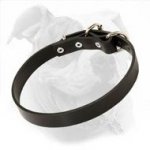 Laconic Leather Collar for American Bulldog - Easy in Use, Safe and Comfortable