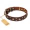'High Fashion' FDT Artisan Embellished Brown Leather American Bulldog Collar