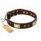 "Rich Fashion" FDT Artisan Decorated Leather American Bulldog Collar with Plates and Studs