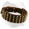 Super Wide Spiked Leather Collar for American Bulldog Walking