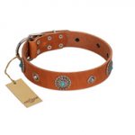 "Marine Antiques" Handmade FDT Artisan Tan Leather American Bulldog Collar with Blue Stones