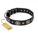 "Black Tie" FDT Artisan Leather American Bulldog Collar with Old Silver-like Decorations