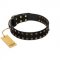 "Star Way" FDT Artisan Black Leather American Bulldog Collar with Bronze-like and Silver-like Star Studs