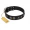 "Century Silver" Designer Handmade FDT Artisan Black Leather American Bulldog Collar