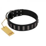 "Black Prince" Handmade FDT Artisan Black Leather American Bulldog Collar with Silver-Like Adornments