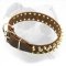Spiked & Studded Leather American Bulldog Collar for Dailly Walking