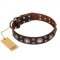 'Age of Beauty' FDT Artisan Incredible Studded Brown Leather American Bulldog Collar