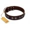 "King Arthur" FDT Artisan Brown Leather American Bulldog Collar with Spiky Plates