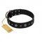 "Mr. Elegance" Designer FDT Artisan Black Leather American Bulldog Collar with Silver-Like Studs