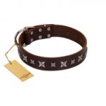 "Stellar Fairy " FDT Artisan Brown Leather American Bulldog Collar with Chrome-plated Star-like Decorations