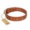 "Gorgeous Roundie" FDT Artisan Tan Leather American Bulldog Collar with Chrome-plated Circles