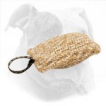Jute Dog Bite Tug for American Bulldog Puppy