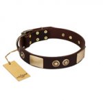 "Sense of Freedom" FDT Artisan Brown Leather American Bulldog Collar with Old Bronze-Plated Studs and Plates