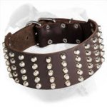 Fashionable Wide Leather Dog Collar for American Bulldog