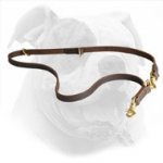 Leather American Bulldog Leash for Different Activities
