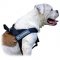 American Bulldog Nylon Harness for Pulling, Tracking, Jogging and Every Day Walks