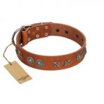 "Splendid Armor" Premium Quality FDT Artisan Tan Designer American Bulldog Collar with Shields and Stars