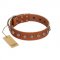 "Heroic Deeds" Designer Handmade FDT Artisan Tan Leather American Bulldog Collar