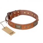 "Catchy Look" FDT Artisan Decorated Tan Leather American Bulldog Collar