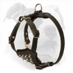Spiked Leather Dog Harness for American Bulldog Puppy