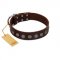 "Starry-Eyed" Best Quality FDT Artisan Brown Designer Leather American Bulldog Collar with Small Plates