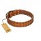"Terra-cotta" FDT Artisan Tan Leather American Bulldog Collar with Two Rows of Studs