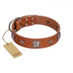 "Lucky Star" FDT Artisan Tan Leather American Bulldog Collar with Silver-Like Embellishments
