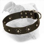 "Elegant Flower" Leather Dog Collar for American Bulldog