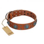 "Blue Sands" FDT Artisan Tan Leather American Bulldog Collar with Silver-like Studs and Round Conchos with Stones