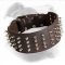 3 Inch Wide Leather Dog Collar for American Bulldog