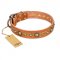 "Feast of Luxury" FDT Artisan Tan Leather American Bulldog Collar with Old Bronze Look Circles
