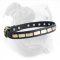 Leather American Bulldog Collar with Brass Plates for Daily Fashionable Walking