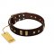 "Choco Delight" FDT Artisan Brown Leather American Bulldog Collar with Old Bronze-like Plates and Studs