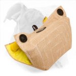 American Bulldog Bite Developer Made of Jute