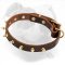 Stylish Leather American Bulldog Collar with Brass Spikes