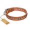"Daily Chic" FDT Artisan Tan Leather American Bulldog Collar with Decorations