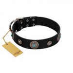 "Blue Gems" FDT Artisan Black Leather American Bulldog Collar with Chrome Plated Studs and Conchos