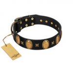 "Doggie Woggie" Designer Handmade FDT Artisan Black Leather American Bulldog Collar with Ovals and Studs