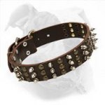 Fantastic Leather Collar with Spikes and Studs for American Bulldog
