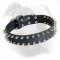 Leather American Bulldog Collar with 2 Rows of Nickel Spikes for Walking in Style