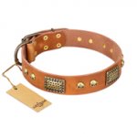 "Saucy Nature" FDT Artisan Tan Leather American Bulldog Collar with Old Bronze Look Plates and Skulls