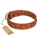 "Faraway Galaxy" FDT Artisan Tan Leather American Bulldog Collar Adorned with Stars and Squares
