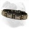 Leather Canine Collar with Brass Spikes and Nickel Vintage Plates for American Bulldog