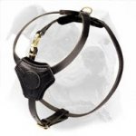 American Bulldog Puppy Walking and Training Harness