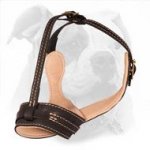 Fashionable Leather Muzzle for American Bulldog - Comfort and Safety for Active Dogs