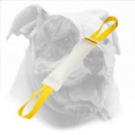American Bulldog Bite Tug Made of Fire Hose with Handles