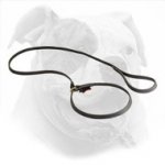 Leather American Bulldog Leash with Choke Collar Combo