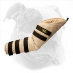 Professional Hidden American Bulldog Bite Sleeve